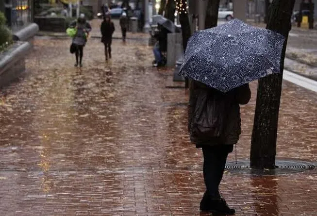 al masry — ID news