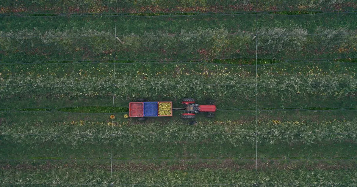 climate change — ID news