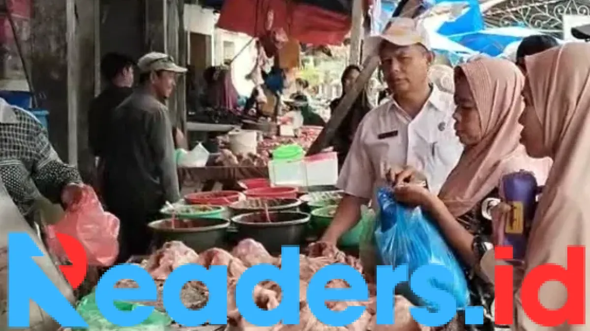 daging ayam — ID news