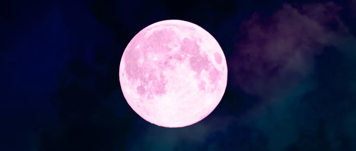 fenomena pink moon — ID news