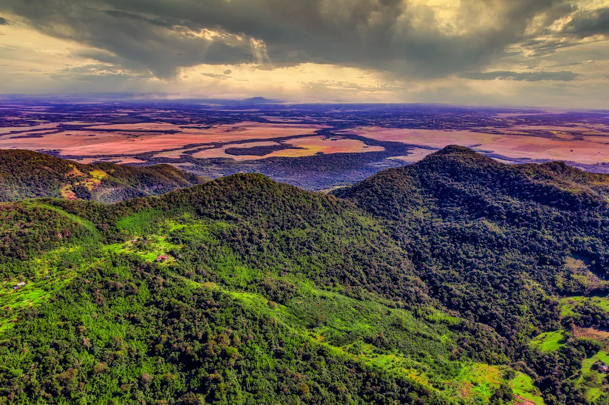 paraguay — ID news