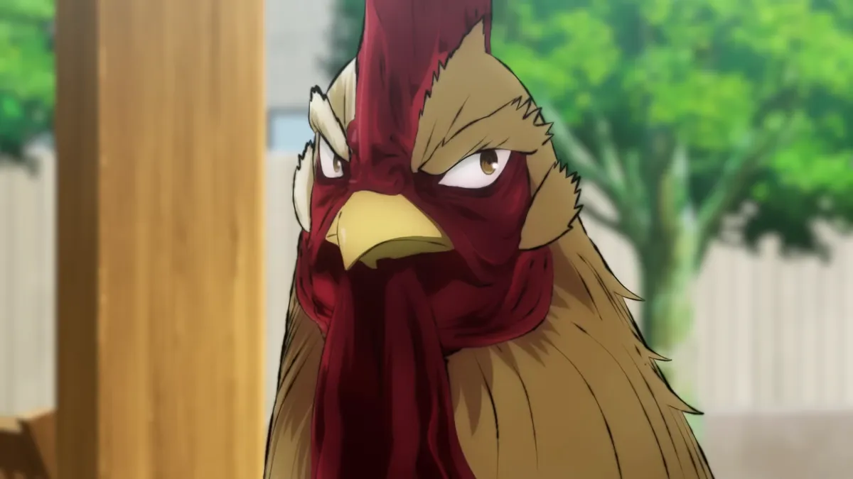 rooster fighter — ID news