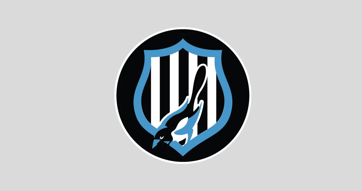 ucl match — ID news