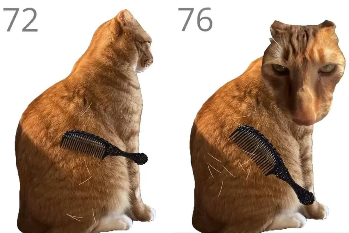 brush jjaemu — ID news