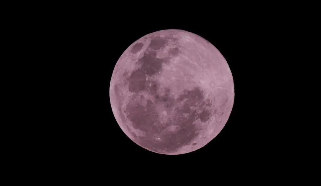 pink moon — ID news