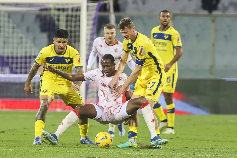 verona vs fiorentina — ID news