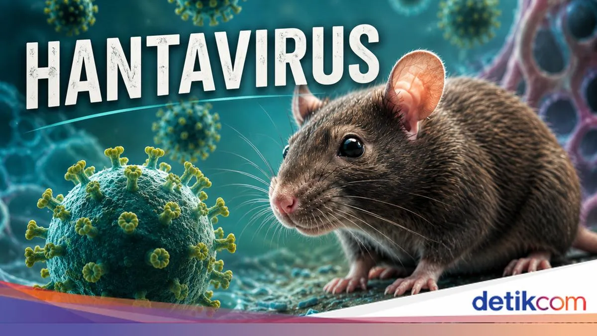 hantavirus kapal pesiar — ID news