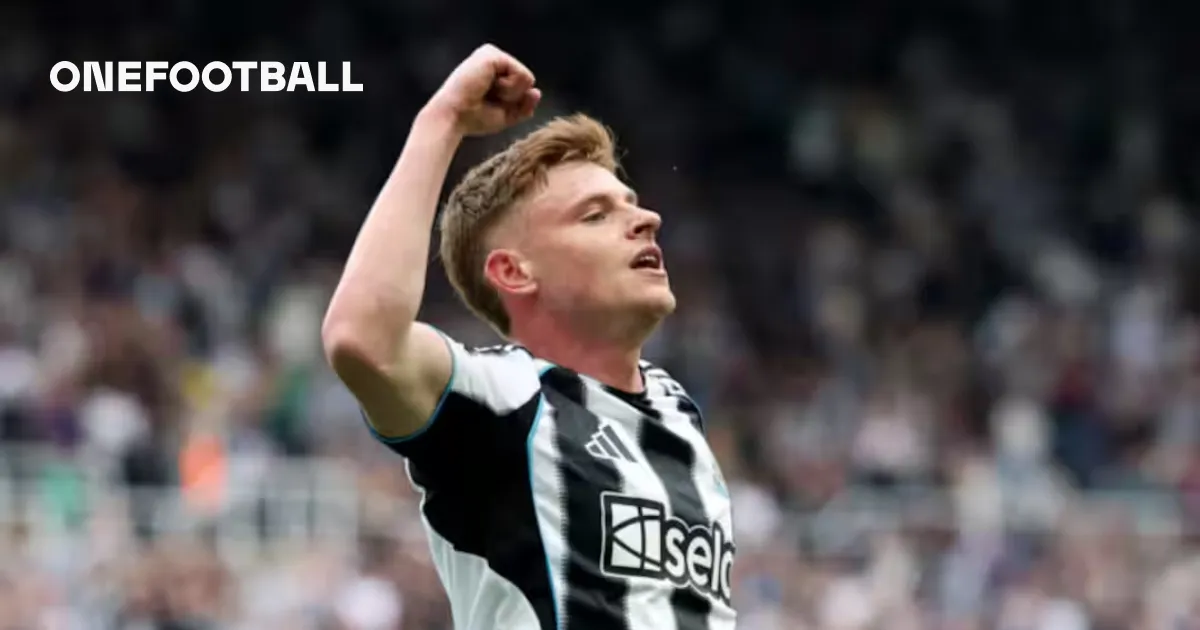 newcastle vs brighton — ID news